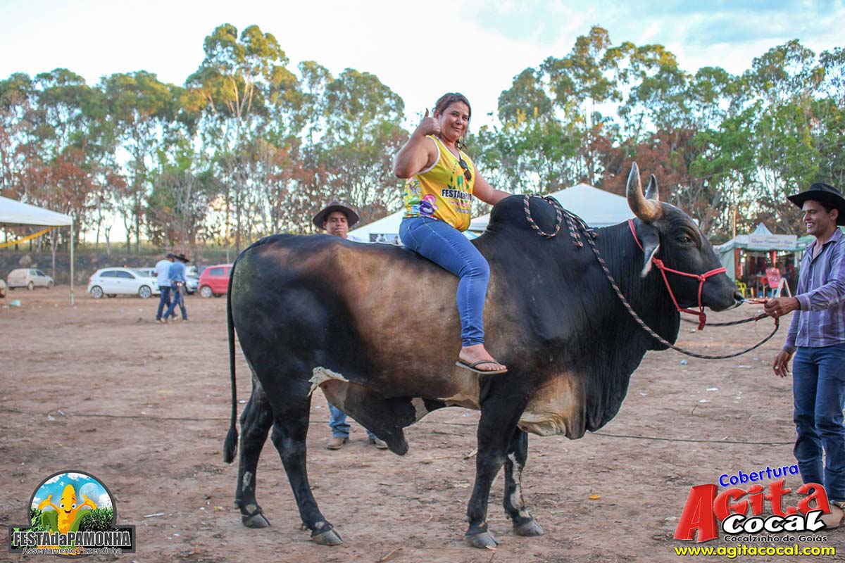 Festa da Pamonha (3 Dia)